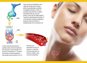 Tire suas dúvidas sobre emagrecimento, tireoide e alimentação 